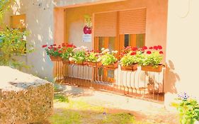 Gallura experiences Li Criasgi